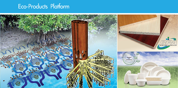ԵѳԵõǴ (Eco-Products Platform)